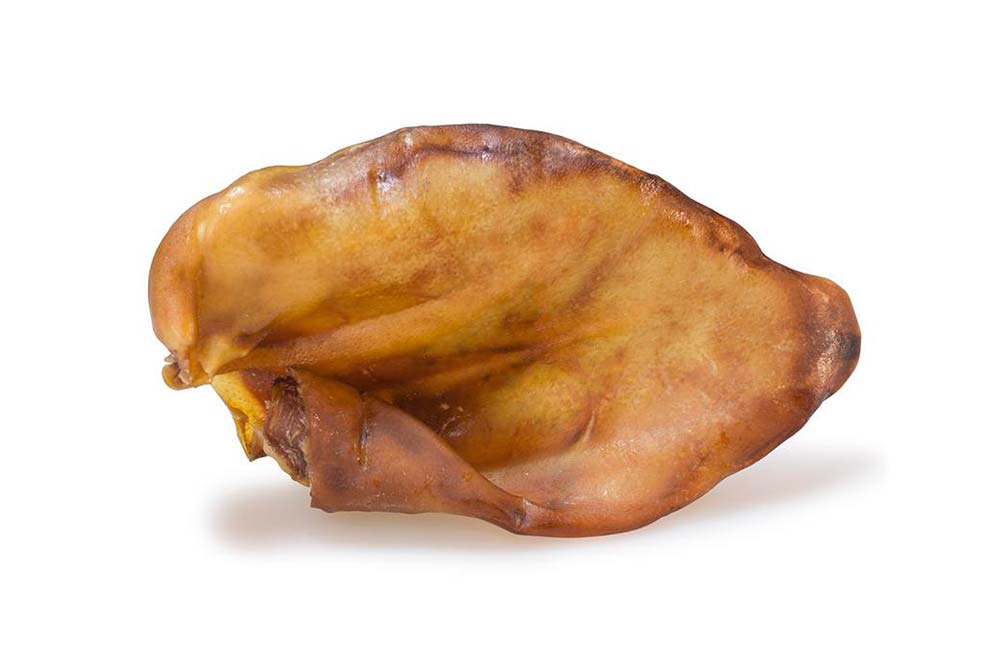 OREJA-DE-CERDO-MEDIANA